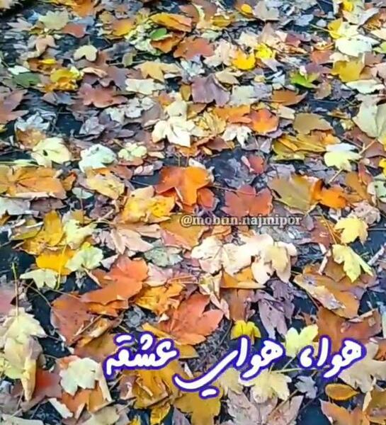 عکس استوری پاییزی راغب