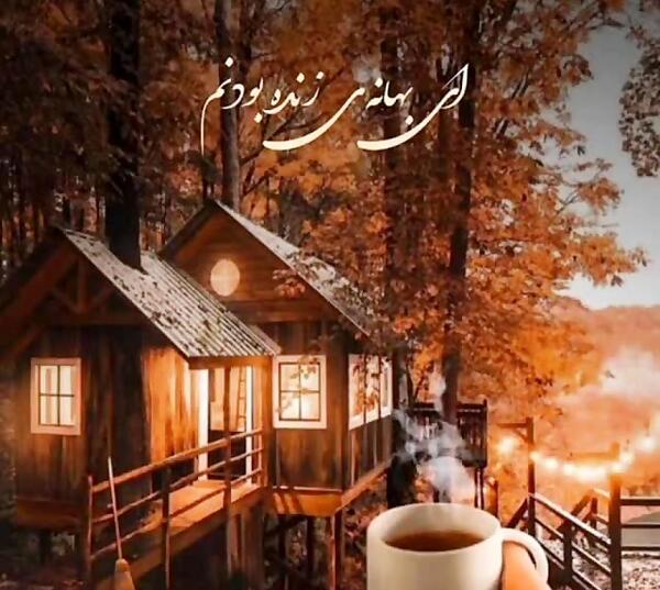 عکس استوری پاییزی راغب