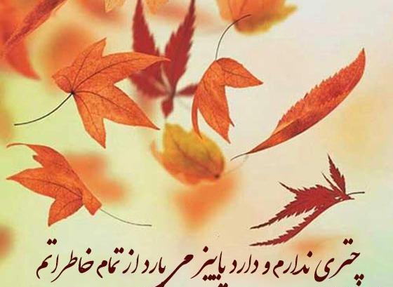 عکس استوری پاییزی راغب