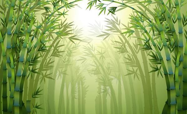 عکس رنگین کمان در جنگل