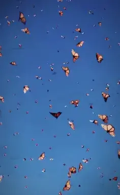 عکس فرشته سمت چپ