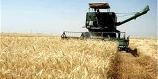 عکس تریاک بسته بندی شده