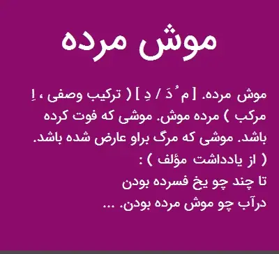 عکس موش مرده