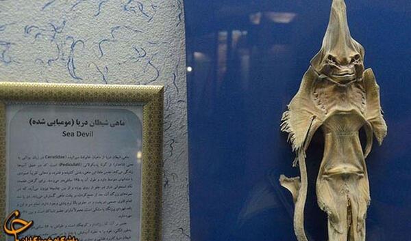 عکسهای شیطان ماهی