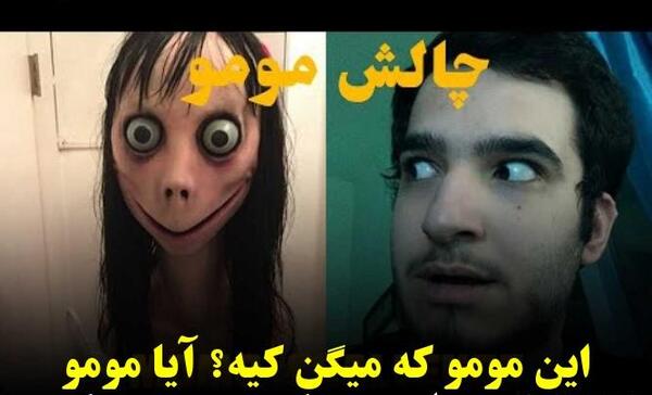عکس سگ مومو