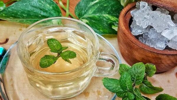 عکس نعنا قدیمی