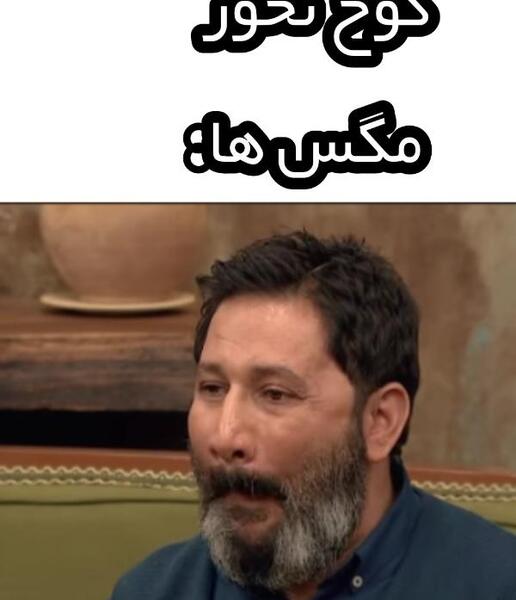 عکس چت سالومه با سروش جمشیدی