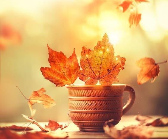عکس بدون متن پاییزی