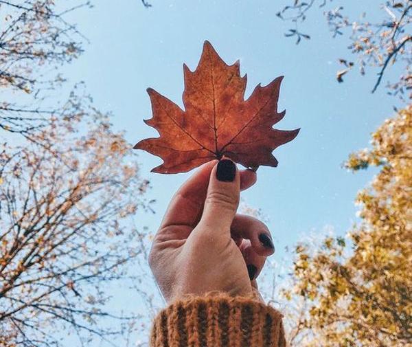 عکس بدون متن پاییزی