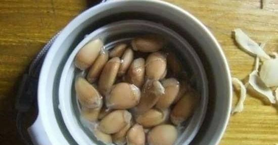 عکس سبزه پرتقال