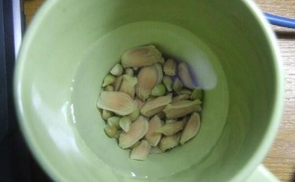 عکس سبزه پرتقال