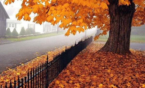 عکس های زیبا از پاییز برای پروفایل