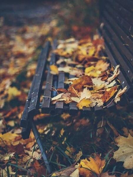 عکس های زیبا از پاییز برای پروفایل