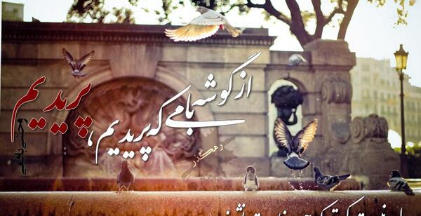 عکس نوشته تنها ولی وحشی