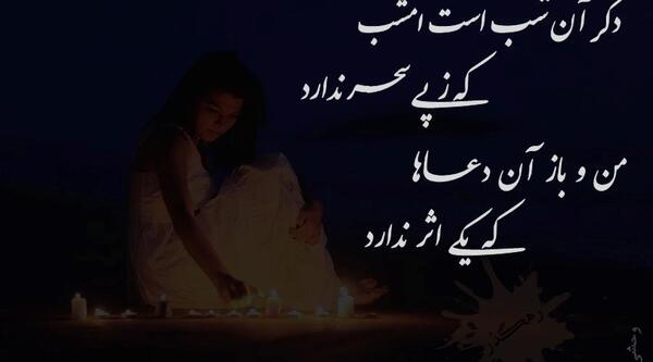 عکس نوشته تنها ولی وحشی
