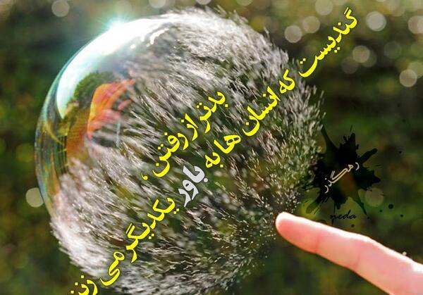 عکس نوشته تنها ولی وحشی
