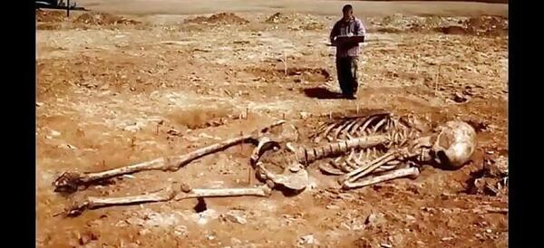 عکس اسکلت غول پیکر