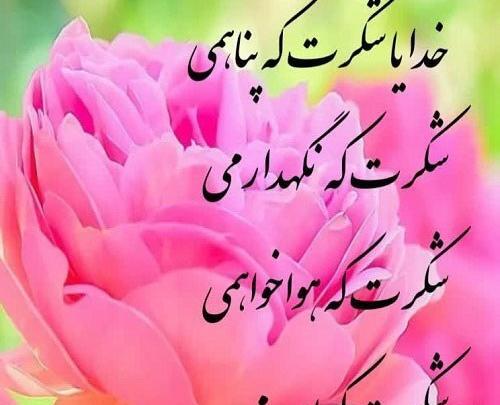 خدايا شكرت واقعی تصوایر عکس پروفایل خدا