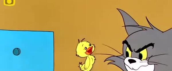 عکس اردک در تام و جری