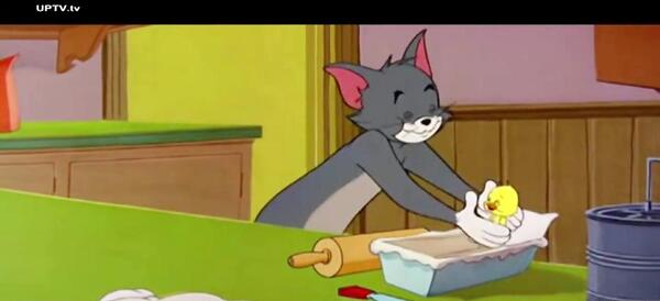عکس اردک در تام و جری