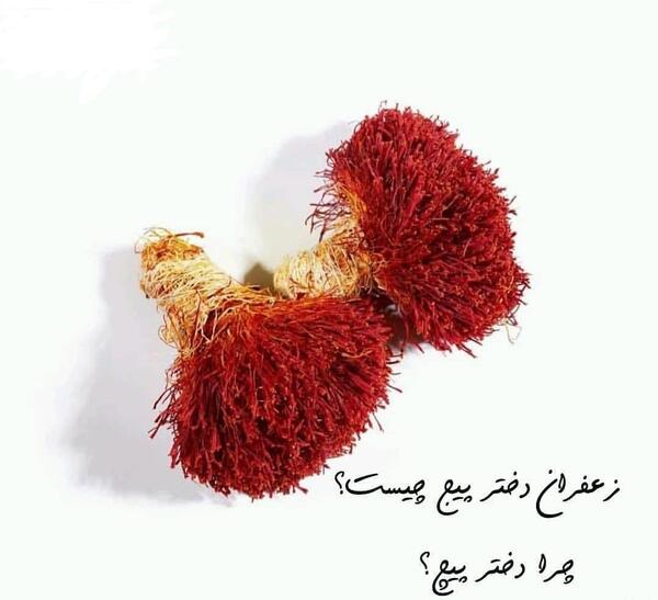 عکس زعفران دختر پیچ