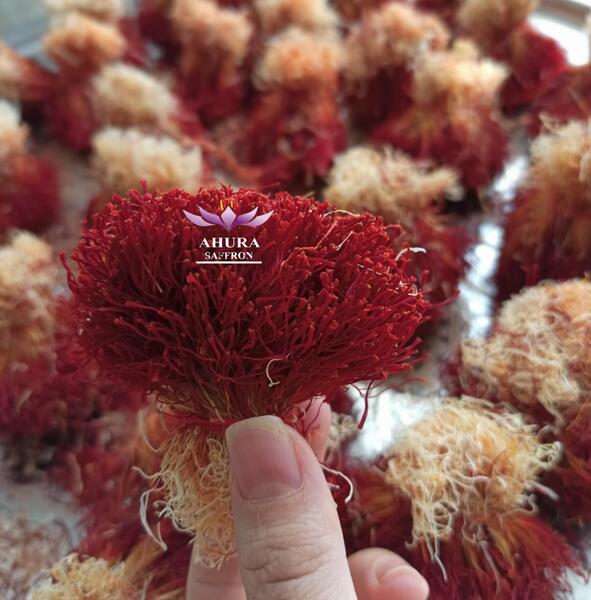 عکس زعفران دختر پیچ