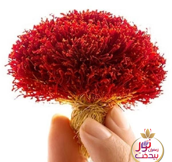 عکس زعفران دختر پیچ