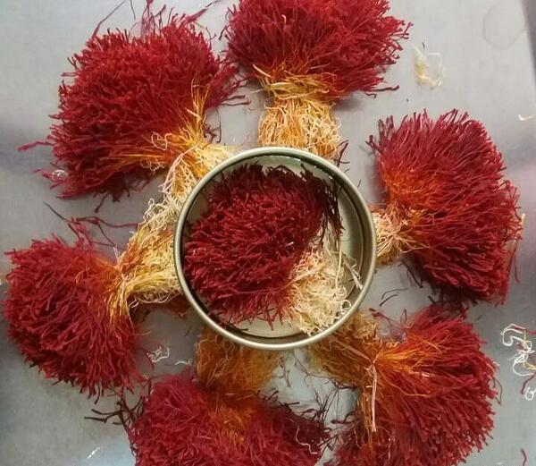 عکس زعفران دختر پیچ
