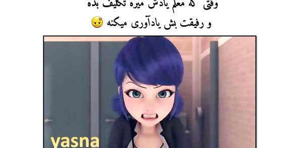 عکس کت نوار برای تصویر زمینه