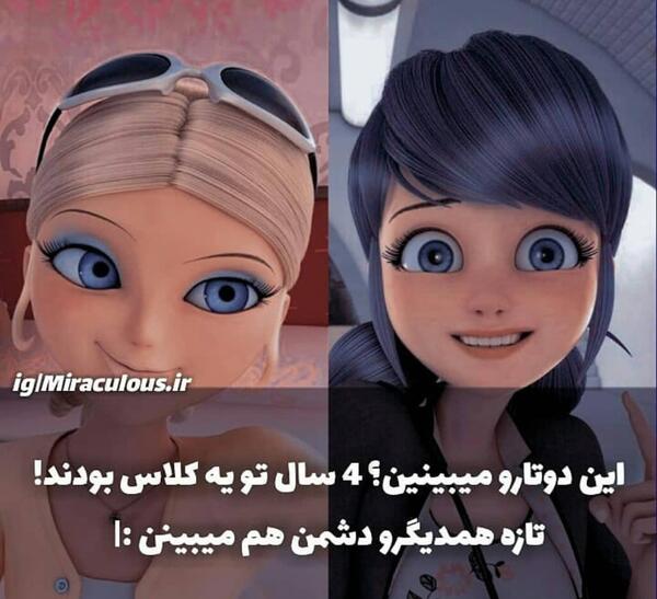 عکس کت نوار برای تصویر زمینه