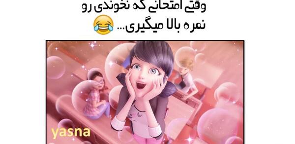 عکس کت نوار برای تصویر زمینه