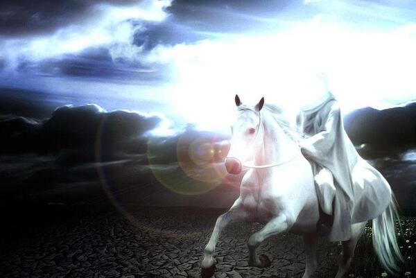 عکس امام علی با اسب