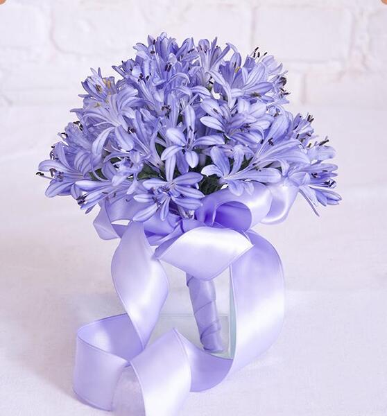 عکس کارتونی گل پژمرده