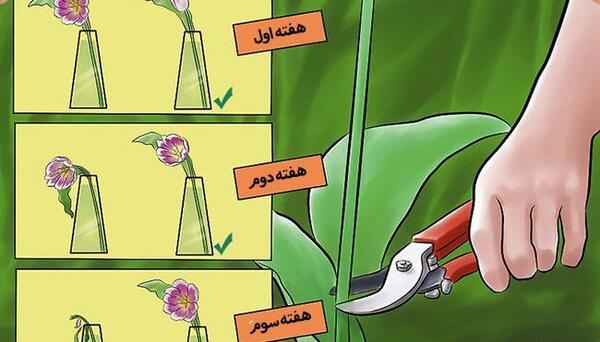 عکس کارتونی گل پژمرده