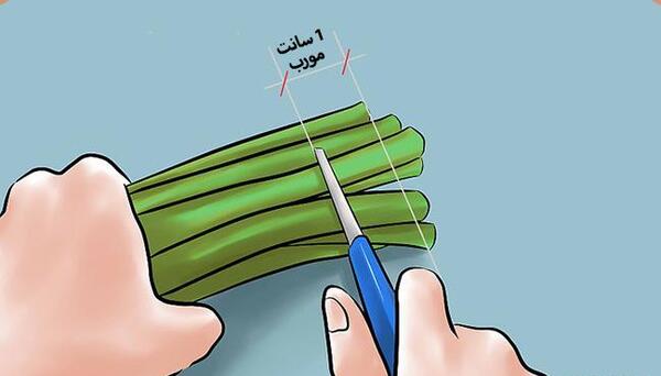 عکس کارتونی گل پژمرده