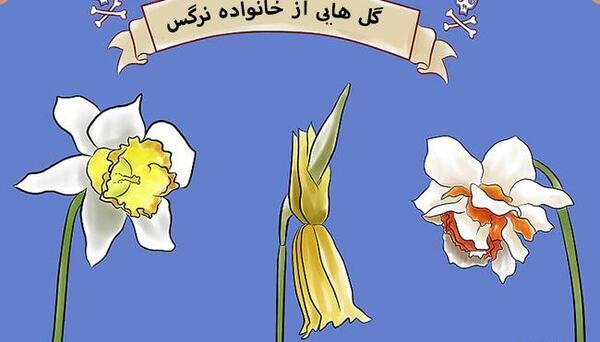 عکس کارتونی گل پژمرده