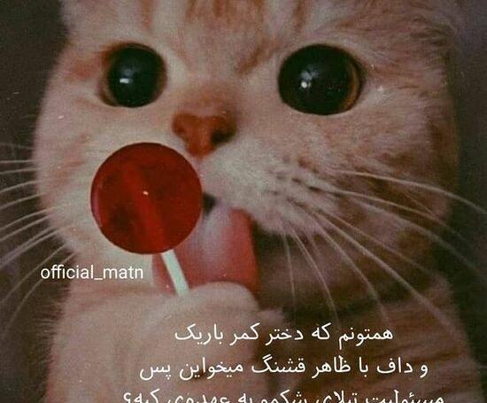 عکس زیبا برای وضعیت واتساپ خنده دار