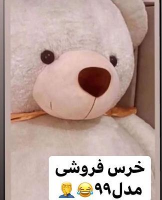 عکس خنده دار ولنتاین