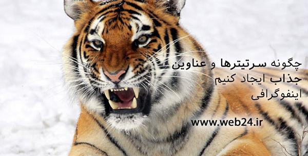 عکس ببر در برف