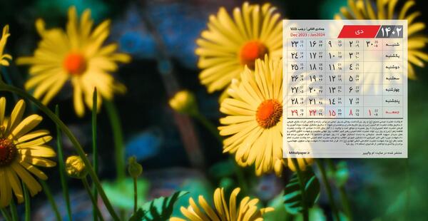 عکس ماه گل کرامتی