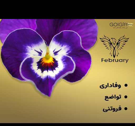عکس ماه گل کرامتی