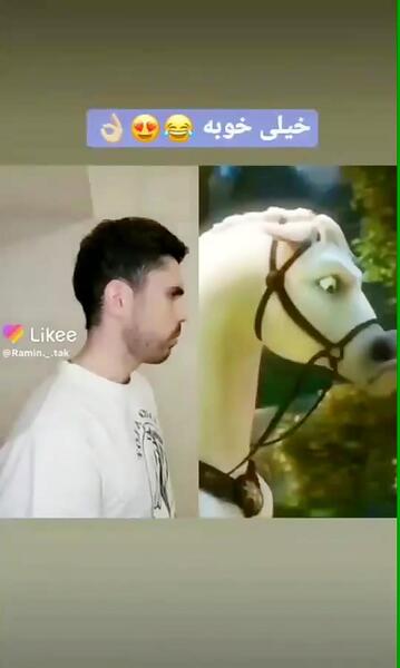 عکس اسب راپونزل