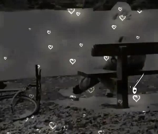 عکس نوشته خدایا تنهام نذار