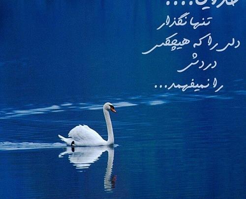 عکس نوشته خدایا تنهام نذار