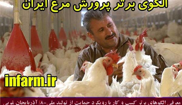 عکس رضا سواره