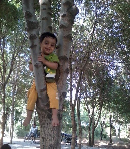 عکس خاله پارسا