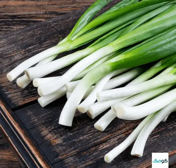 عکس نعناع سبزی