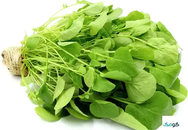عکس نعناع سبزی