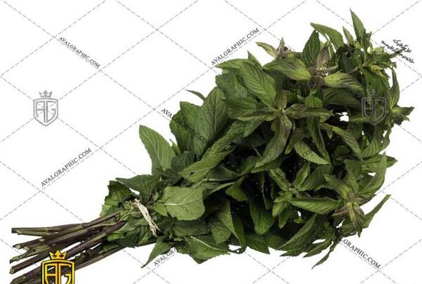 عکس نعناع سبزی