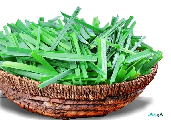عکس نعناع سبزی